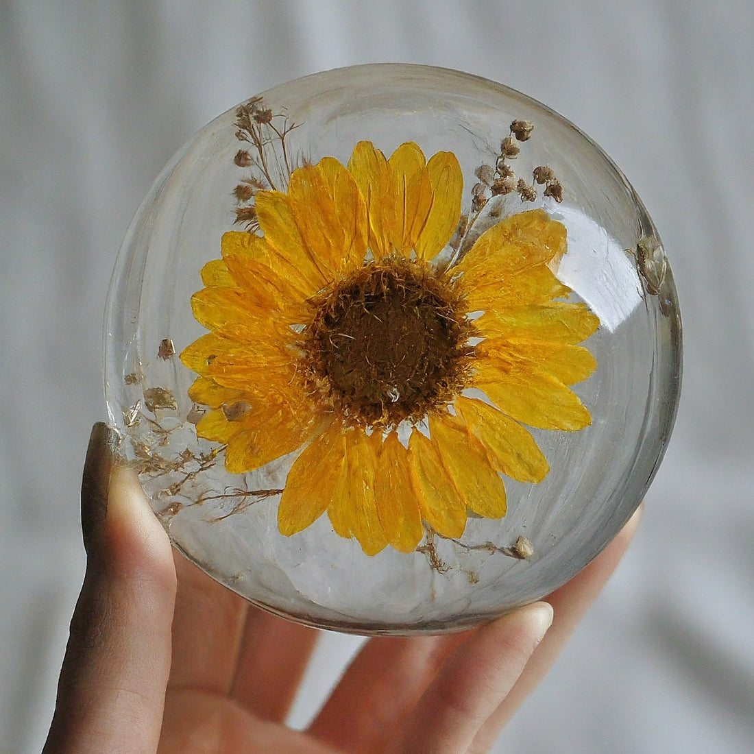 Preserving Nature: Creative Ideas for Flower Preservation