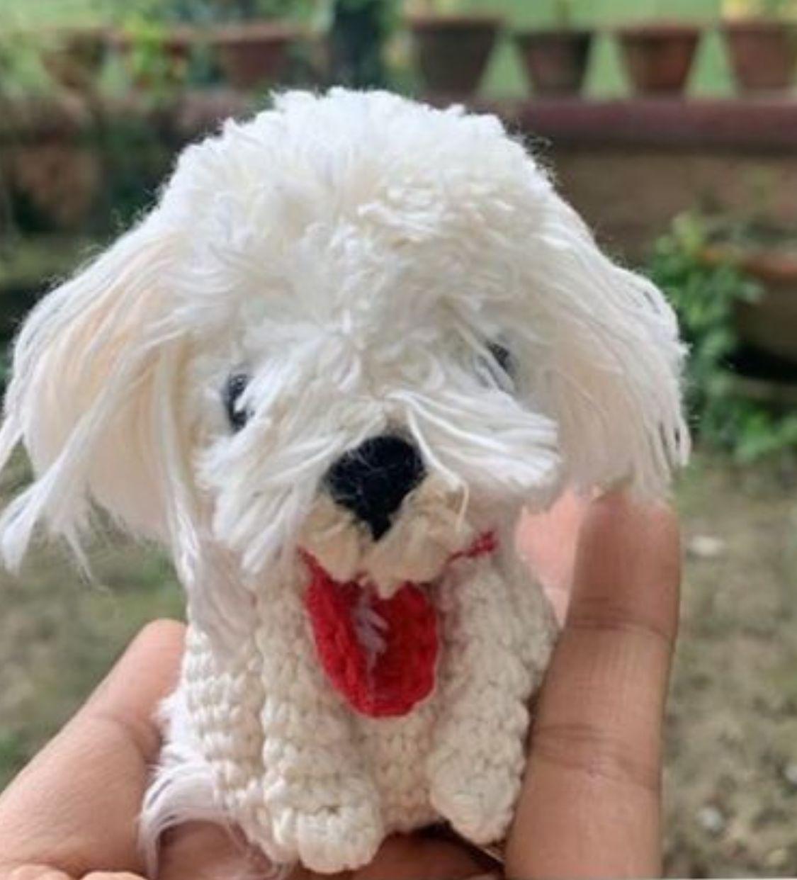 Pawsome Pooch Dog Crochet