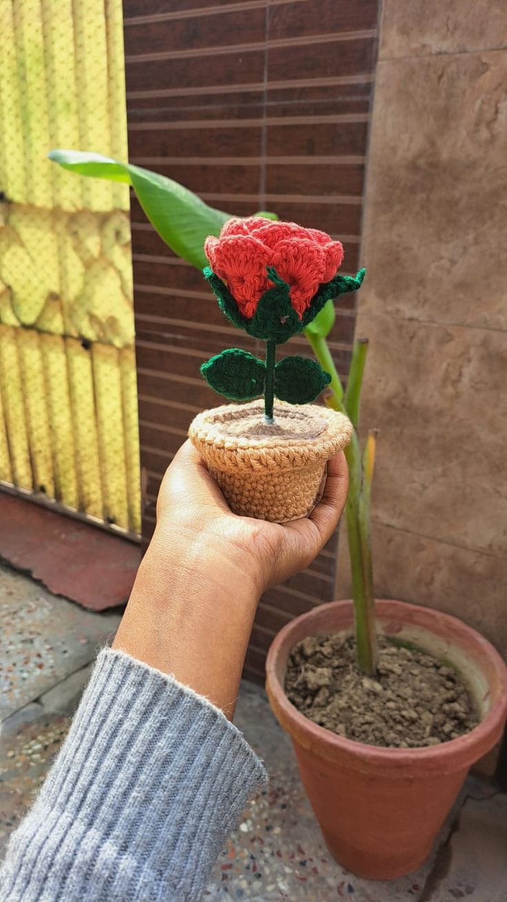 Blossom in Stitches  Rose Crochet Flower Pot