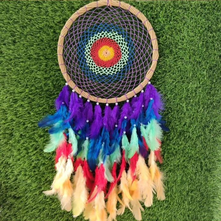 Whimsical Wonder Dream Catcher